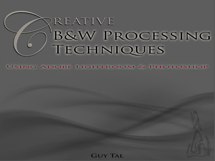 Cover- Creative B&W Processing Techniques
