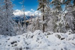 Winter in the Cascades