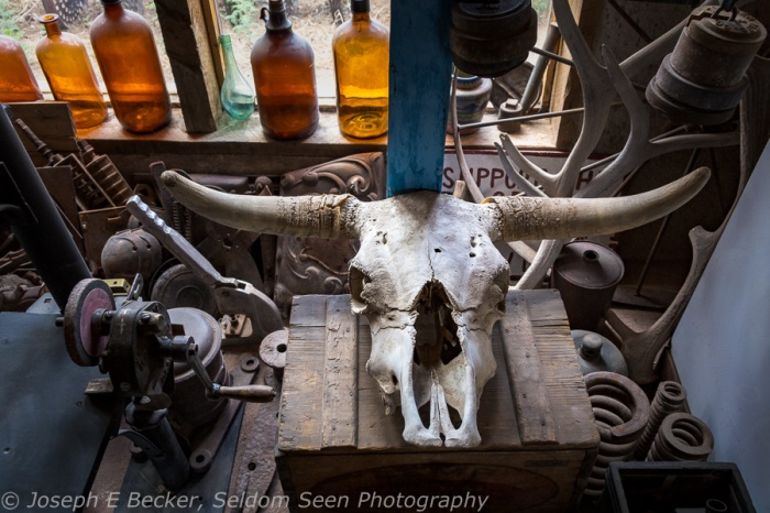 Cow skull and bottles inside the Mining Museum